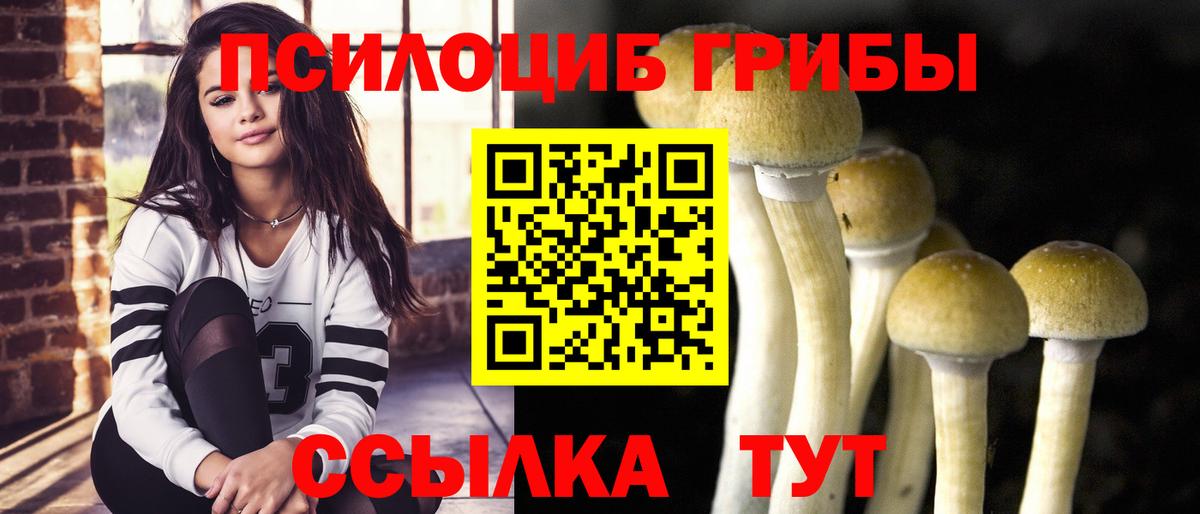 Кувандык  Галлюциногенные грибы Magic Shrooms  Вход с VPN 